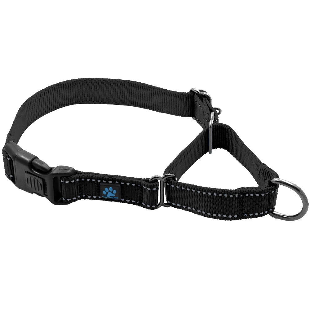 Martingdale All Nylon Dog Collar