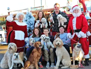 Pawsitively Perfect Gifts For Dog People