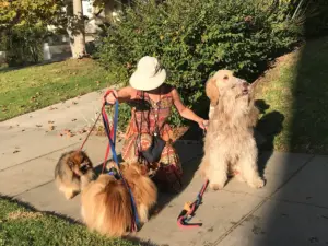 Are You A Dog Person?