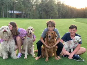 Unlock the Secret to a Happy Dog