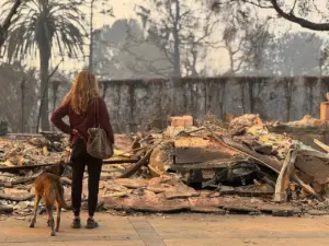 Could You Keep Your Dog Safe During a Disaster?