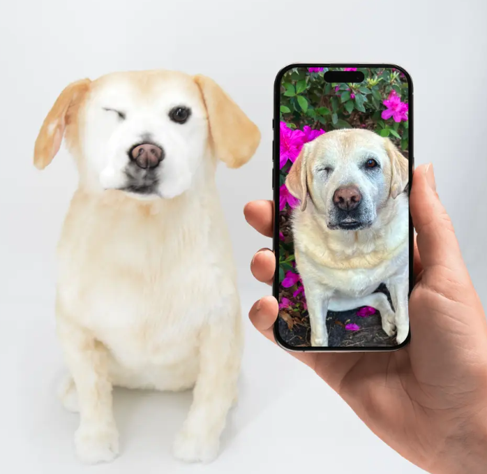 Custom Stuffed Animal of Your Pup