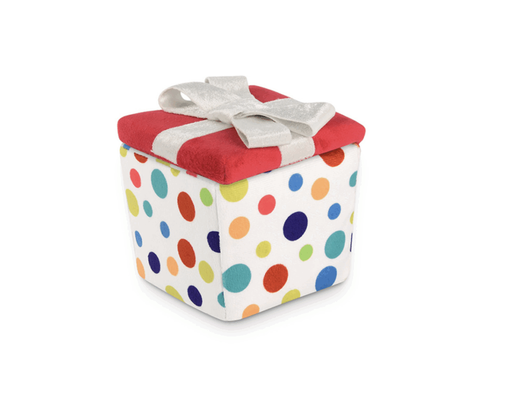 Pawfect Present Plush Dog Toy
