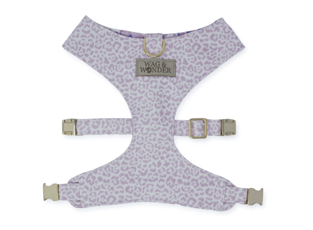 French Lavender Reversible Dog Harness
